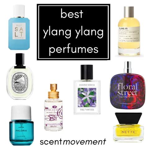 best ylang yangle scent